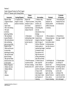 Nursing Care Plan Template Word  Form