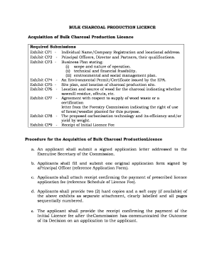 Charcoal Business Plan PDF  Form