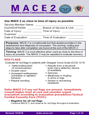 Mace Exam  Form