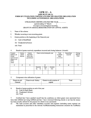 Gfr 12 a Form in Word Format Download