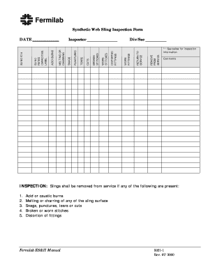 Synthetic Web Sling Inspection Form