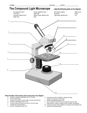 Compound Microscope Parts and Functions | Microscope parts, Science fair  projects, Science fair