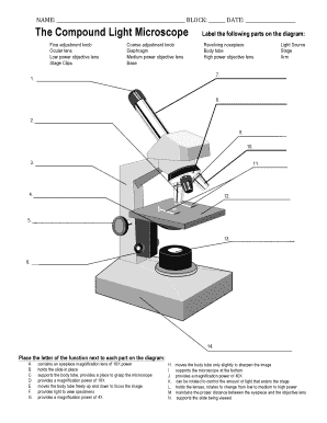 Microscope Parts and Functions PDF  Form