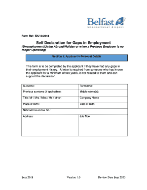 Gap Declaration Letter  Form