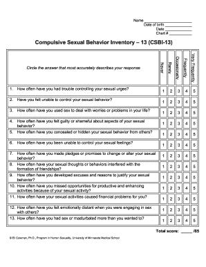 Csbi 13  Form