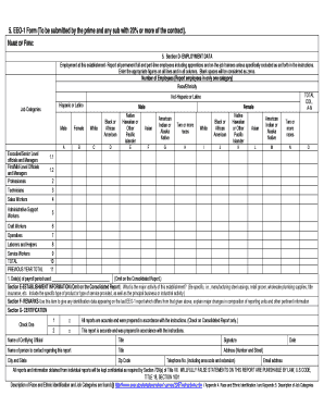 Eeo 1 Form PDF