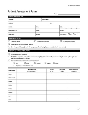 Patient Assessment Form PDF