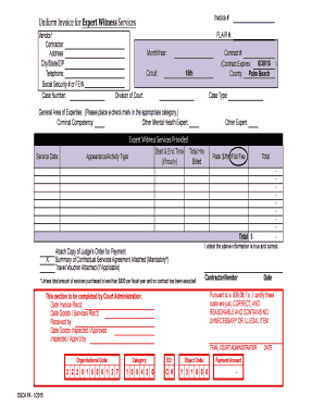 Medical Expert Witness Invoice Template  Form