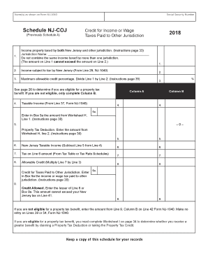  Nj Coj Form 2018