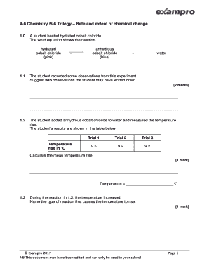 Rate and Extent of Chemical Change Exampro  Form