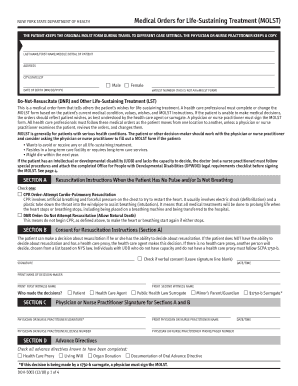  Form for Molst 2018-2024