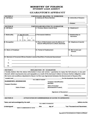  Guarantor Affidavit Format 2017-2024