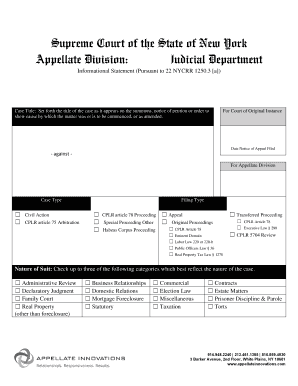 Appellate Division Informational Statement