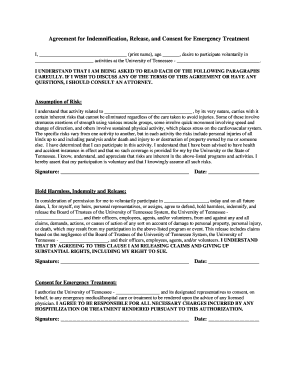 Agreement for Indemnification, Release, and Consent for  Form