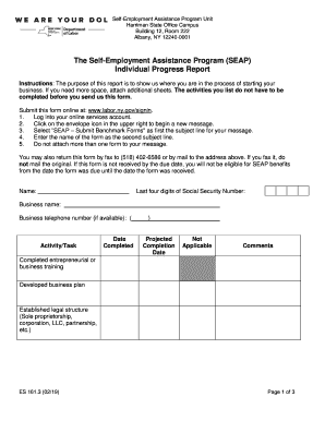  Self Employment Seap Form 2019-2024