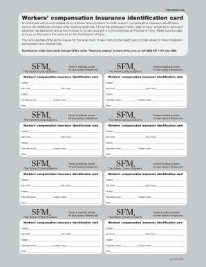  Motorcycle Insurance Card Template 2015-2024