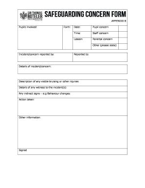 Safeguarding Concern Form Template