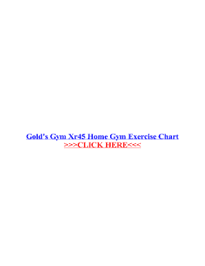Gold Gym Xr 55 Exercise Chart PDF  Form