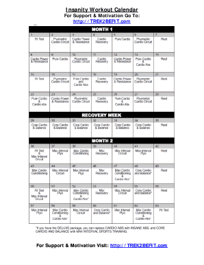 Insanity Workout Calendar  Form