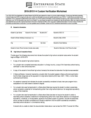  V 4 Custom Verification Worksheet 2018