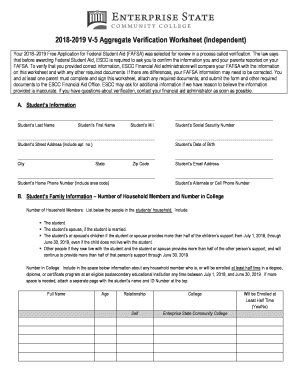  V 5 Aggregate Verification Worksheet Independent 2018