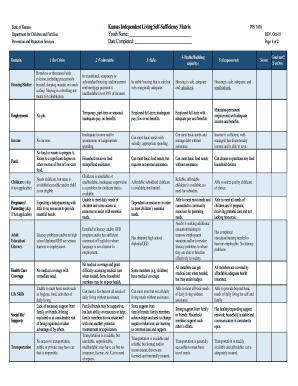 Kansas Independent Living Self Sufficiency Matrix  Form