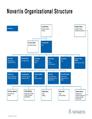 Novartis Organizational Structure  Form