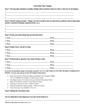 Youth Safety Plan  Form