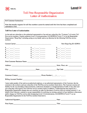 Letter of Authorization Form