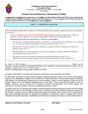  DSF Supported Formal Church Petition for a Declaration of Nullity 2018-2024