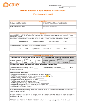 Rapid Needs Assessment Example  Form