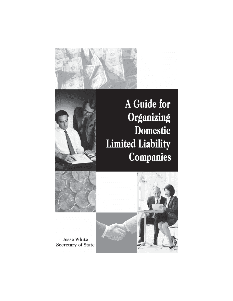  a Guide for Organizing Domestic Limited Liability Companies in Illinois 2019