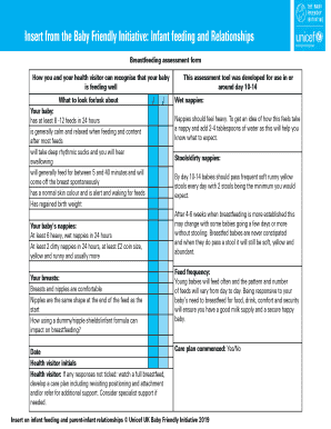 Baby Friendly Breastfeeding Assessment Form Red Book P6
