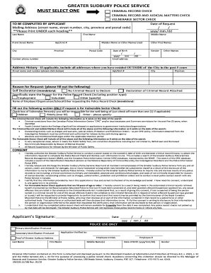 CRIMINAL RECORD and JUDICIAL MATTERS CHECK  Form