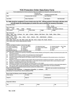  Tcic Data Entry Form 2018-2024