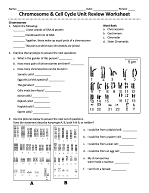 Chromosome and Cell Cycle Unit Review Worksheet  Form