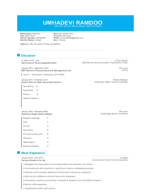 CV Builder, Resume Builder, CV Templates Examples  Form