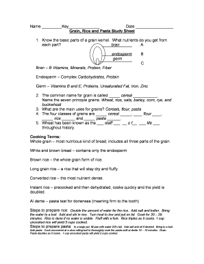 Grain Rice and Pasta Study Sheet  Form