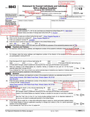 Form 8843 Example