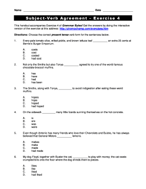 50 Examples of Subject Verb Agreement PDF  Form