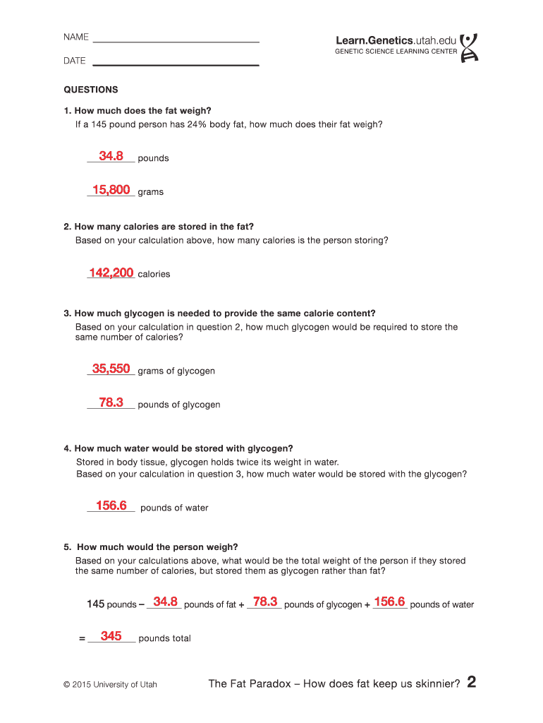 The Fat Paradox Worksheet Answers  Form