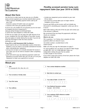 P53z Tax Form Online