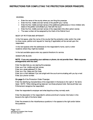 INSTRUCTIONS for COMPLETING the PROTECTION ORDER PRAECIPE  Form