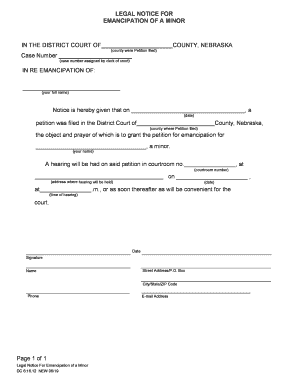 Emancipation of a Minor Family Law Self Help Center  Form