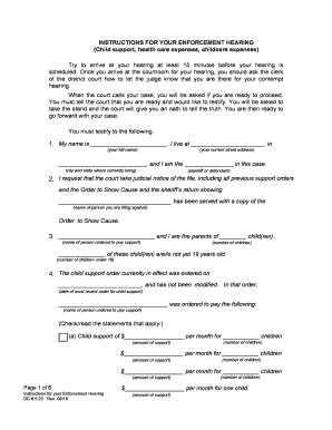 Establishing Paternity, Custody, Parenting Time, and Child Support  Form