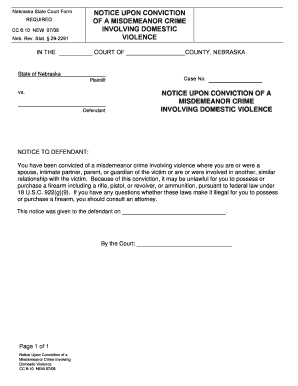 State V McBride, 27 Neb Ct App 219CourtListener Com  Form