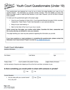 Youth Court Questionnaire under 19  Form