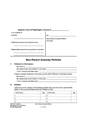 Summons Notice About Non Parent Custody Petition 400  Form
