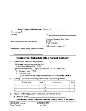 Final Non Parent Custody Order 431Pdf Fpdf DOC DOCX  Form