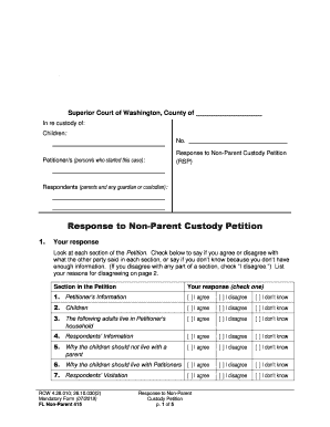 In Re Custody of Children Joaquim Sebastian Martin  Form